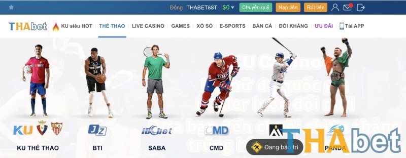THABET cung cấp đa dạng thể loại cá cược hấp dẫn khác nhau