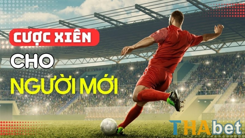 Người chơi cần nắm rõ các quy tắc khi chơi cược xiên
