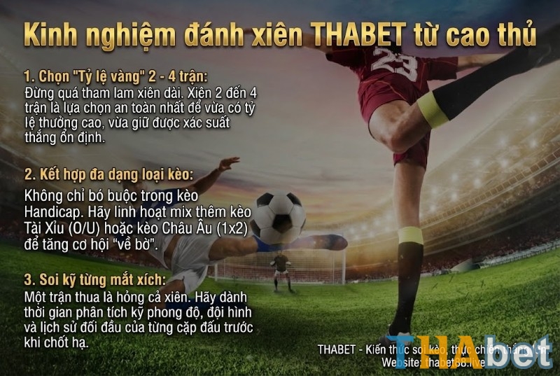 Kinh nghiệm đánh xiên THABET từ các cược thủ