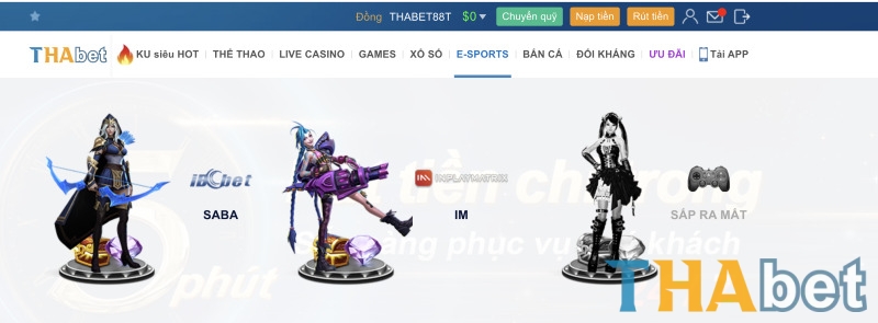 Các bước đặt cược E-sports THABET cho tân thủ đơn giản