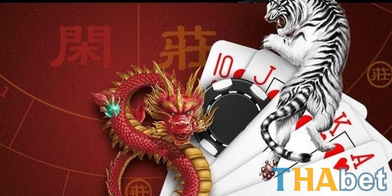 Mẹo bắt cầu Rồng Hổ và chiến thuật 'húp trọn' từ cao thủ