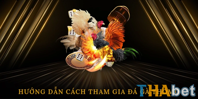 Hướng dẫn truy cập và xem trực tiếp đá gà Thomo THABET