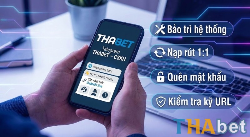 Telegram THABET & Dịch vụ CSKH: Kết nối nhanh, hỗ trợ tức thì