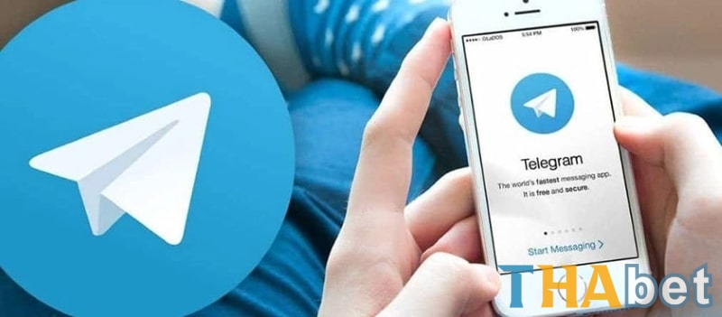 Tham gia Telegram kéo kèo 1-1 THABET – Hỗ trợ riêng, kết quả rõ ràng